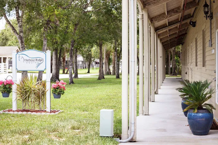 Harbour Ridge Equine 9