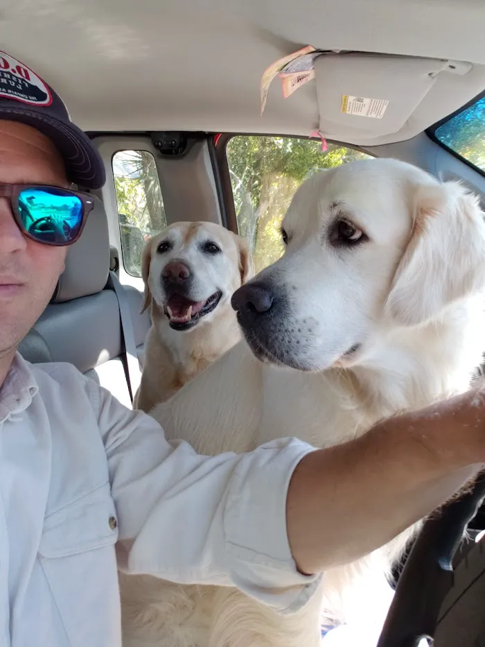 Surfside Pet Hospital 12