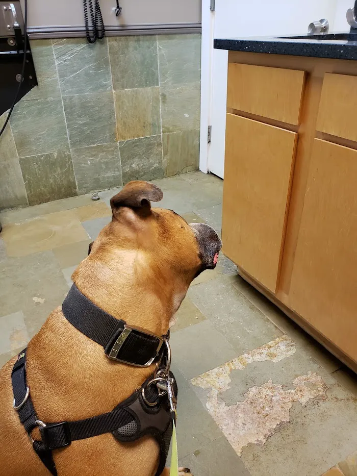 VCA Tri-County Animal Hospital 12