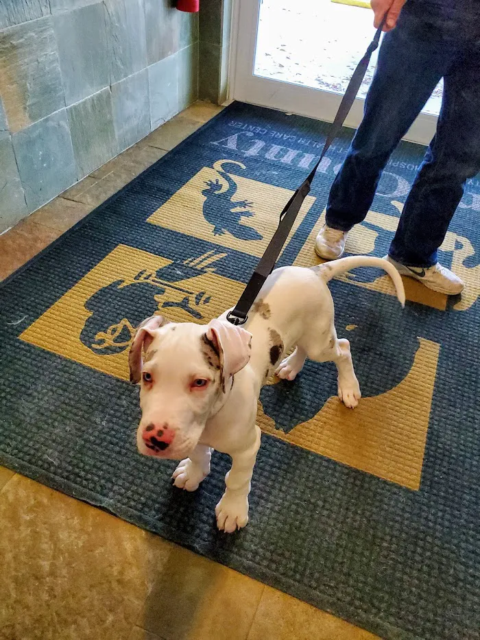 VCA Tri-County Animal Hospital 12