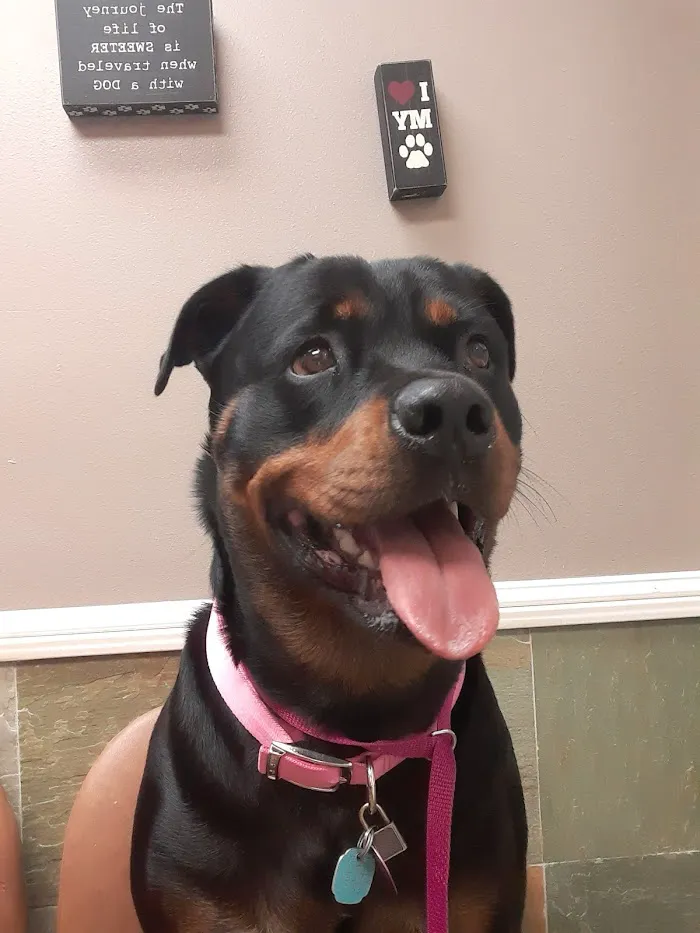 VCA Tri-County Animal Hospital 12