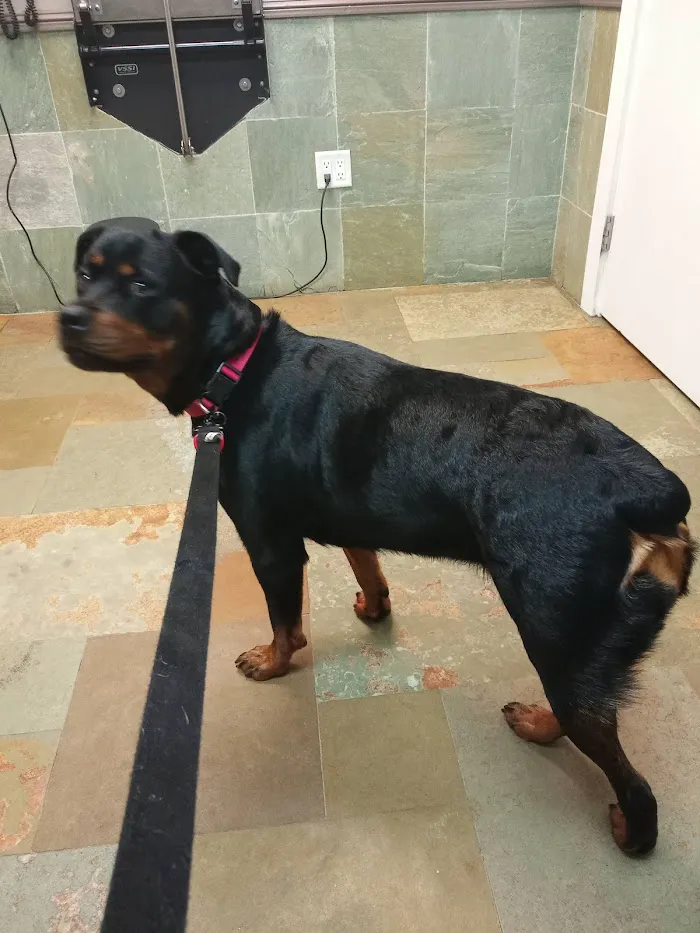 VCA Tri-County Animal Hospital 12