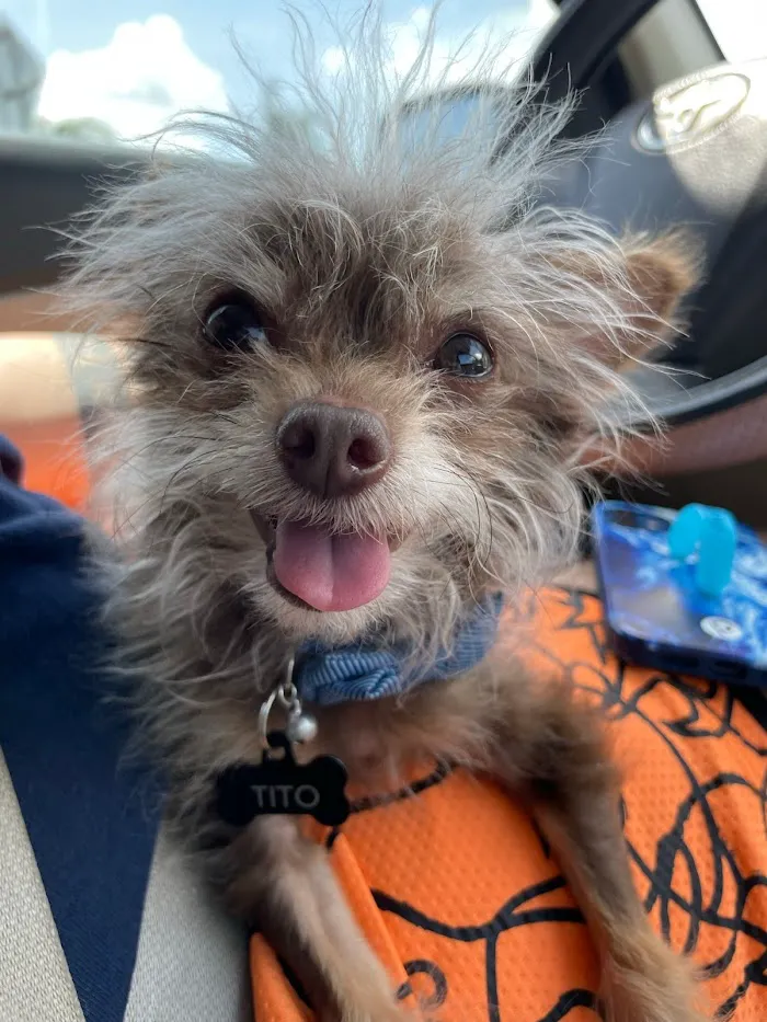 Port Saint Lucie Animal Medical Center - Vetco Total Care 12