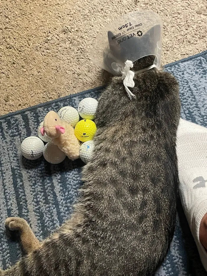 Midway Veterinary Hospital 9