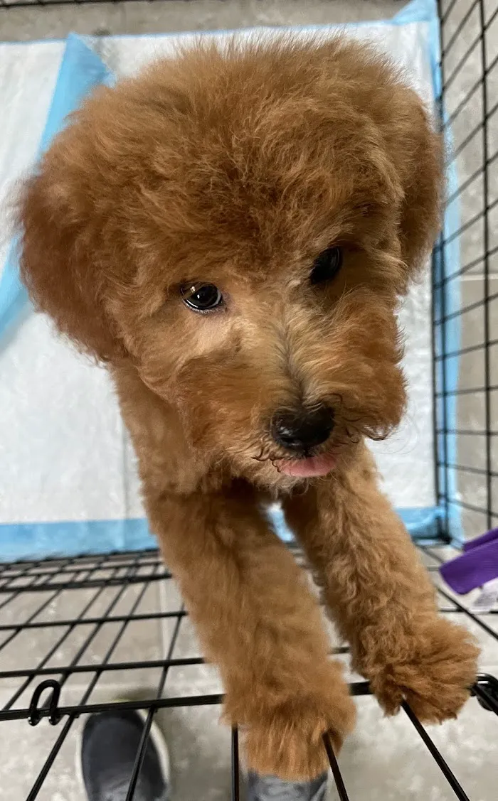 Faith Animal Hospital 12