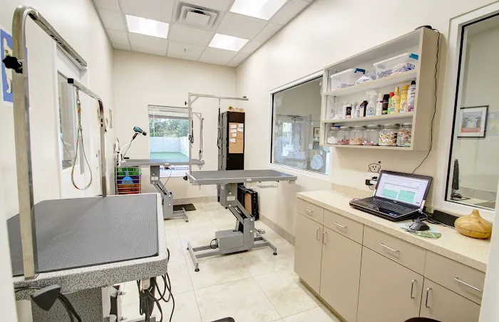 Guardian Veterinary Medical Center 12