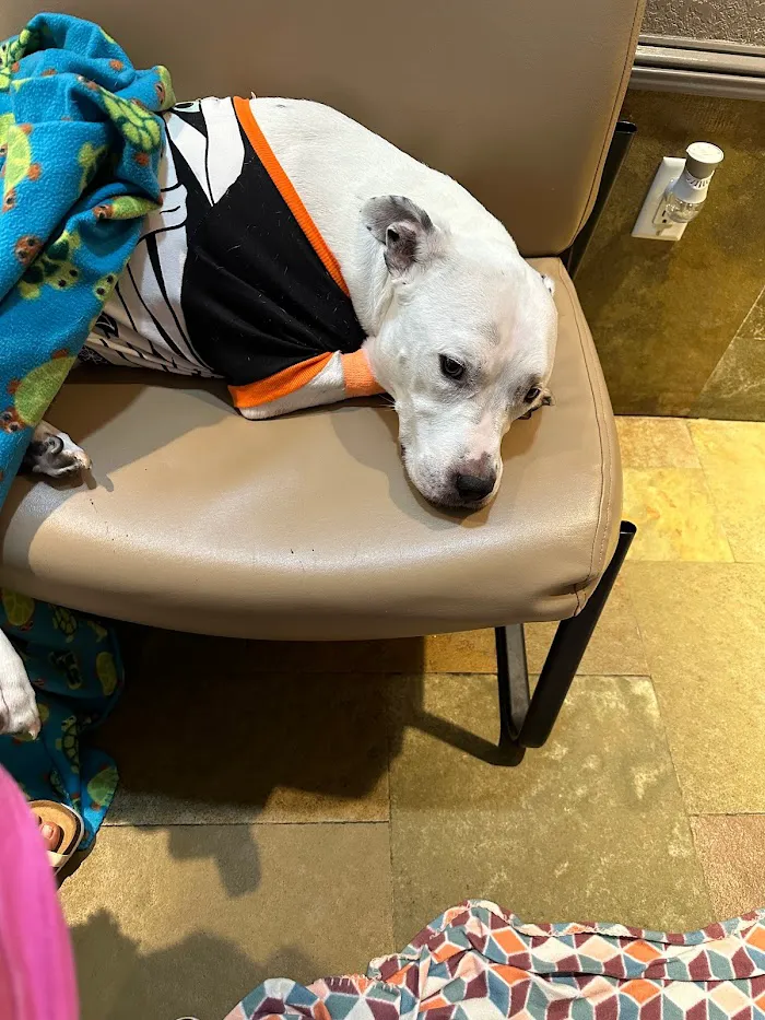 Banfield Pet Hospital 7