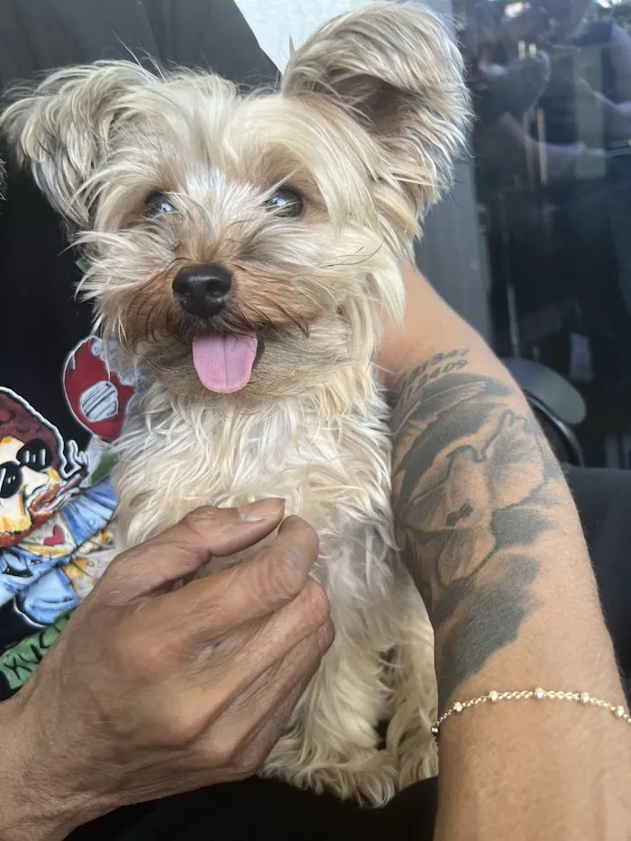 Banfield Pet Hospital 5