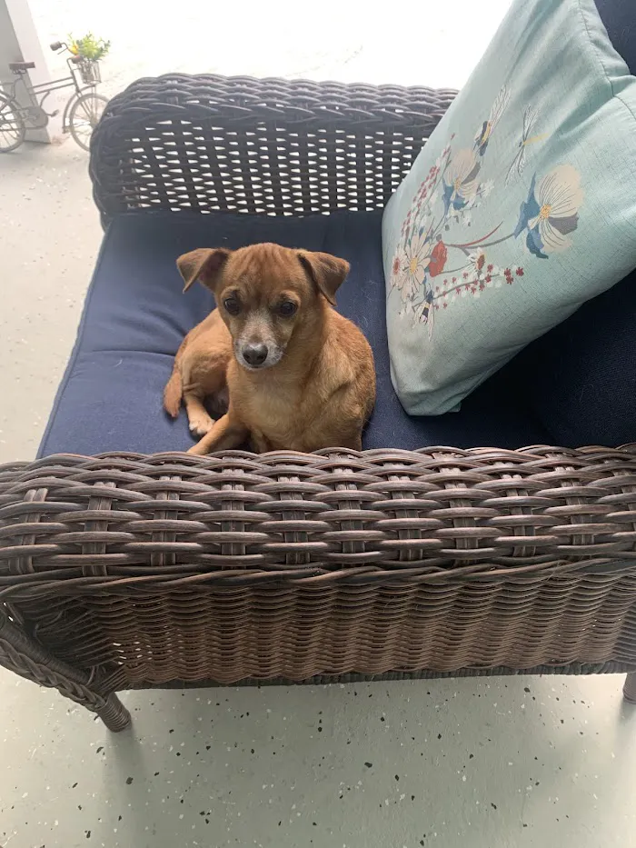 Banfield Pet Hospital 9