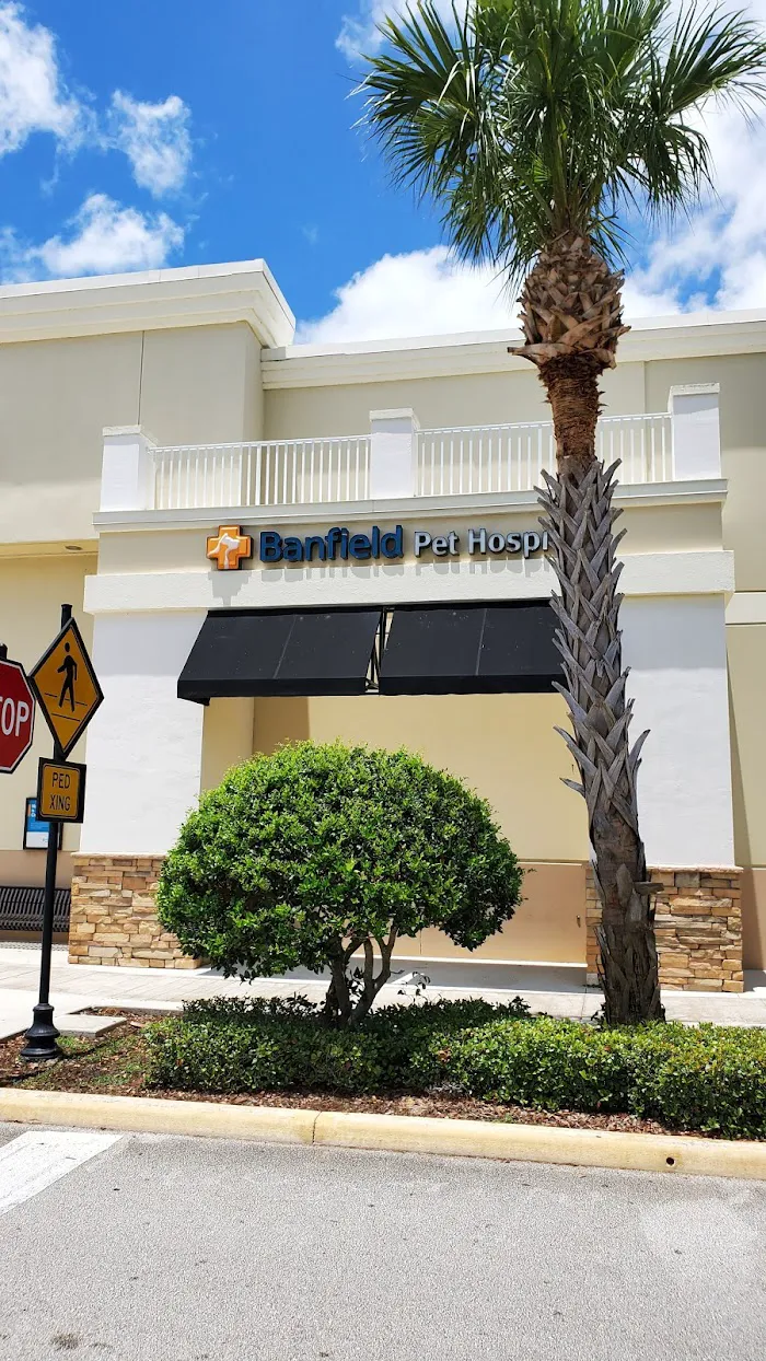 Banfield Pet Hospital 8