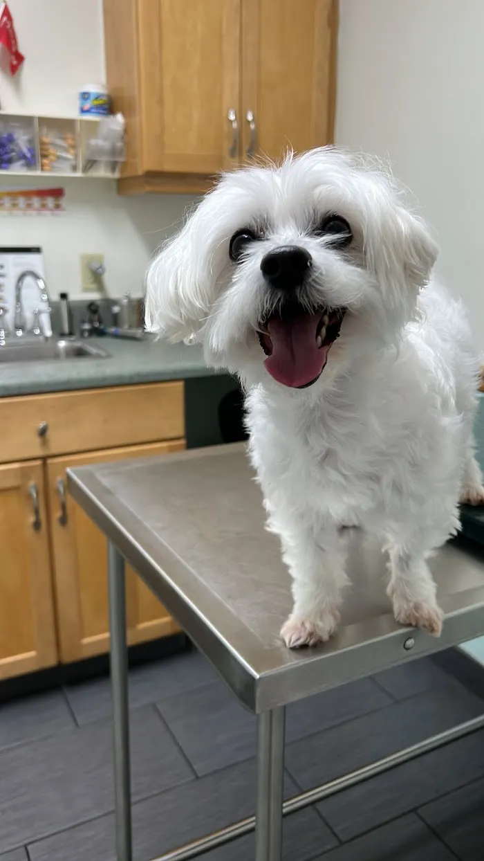 Animal Health Center of Port St Lucie 12