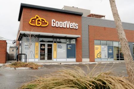 GoodVets Roscoe Village