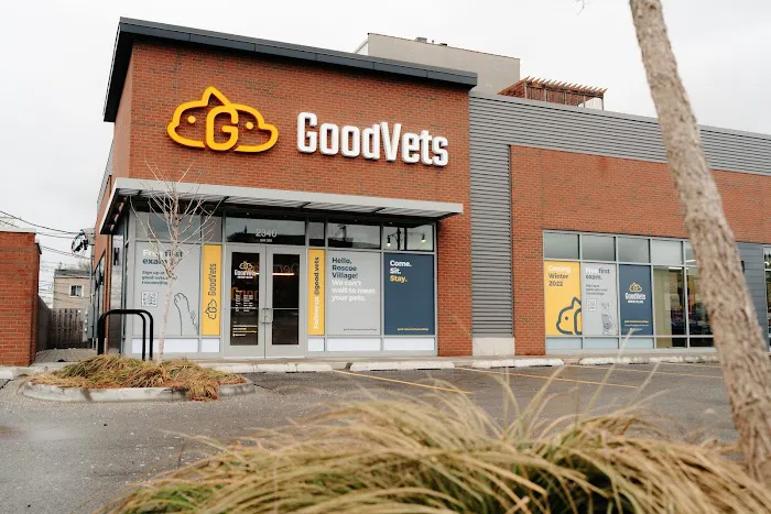GoodVets Roscoe Village 12