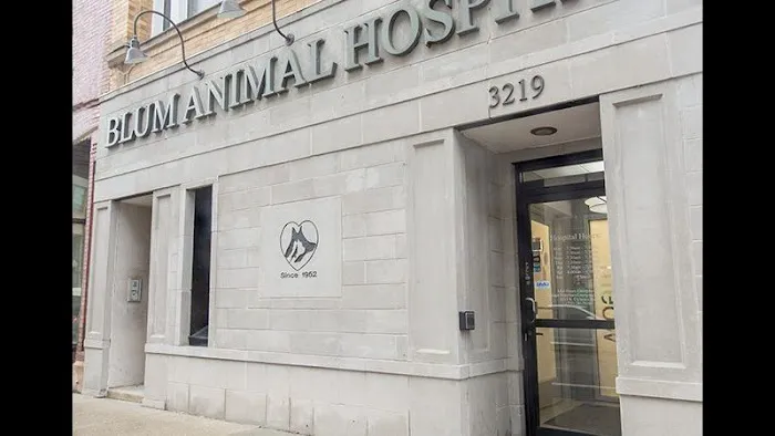 VCA Blum Animal Hospital 12