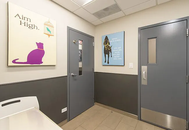 VCA Blum Animal Hospital 12