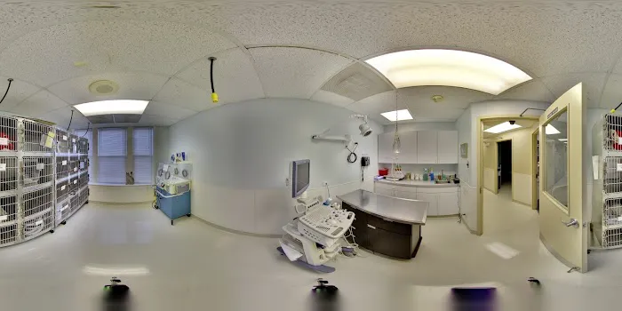 VCA Blum Animal Hospital 12