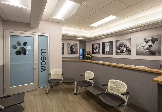 VCA Blum Animal Hospital 12