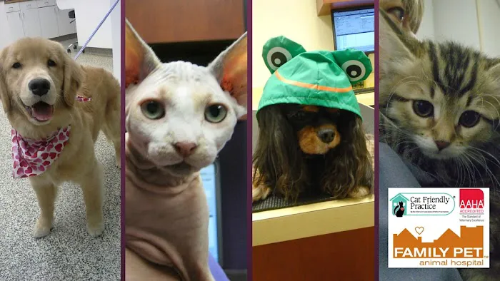 Family Pet Animal Hospital, A Thrive Pet Healthcare Partner 7
