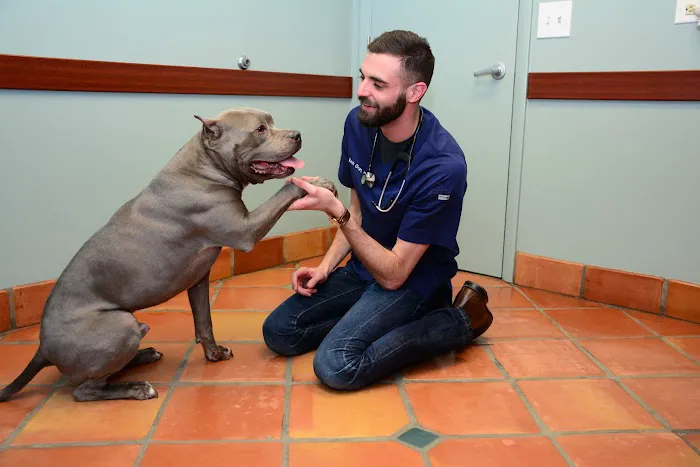 Family Pet Animal Hospital, A Thrive Pet Healthcare Partner 6