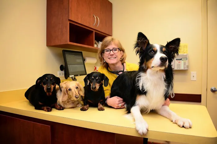 Family Pet Animal Hospital, A Thrive Pet Healthcare Partner 3