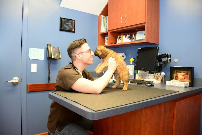 Family Pet Animal Hospital, A Thrive Pet Healthcare Partner 10