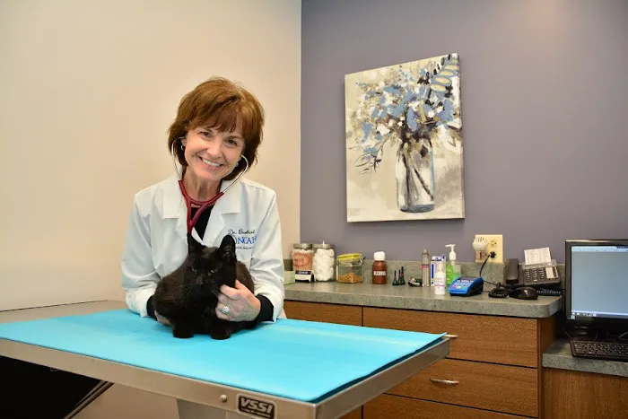 North Center Animal Hospital, A Thrive Pet Healthcare Partner 12