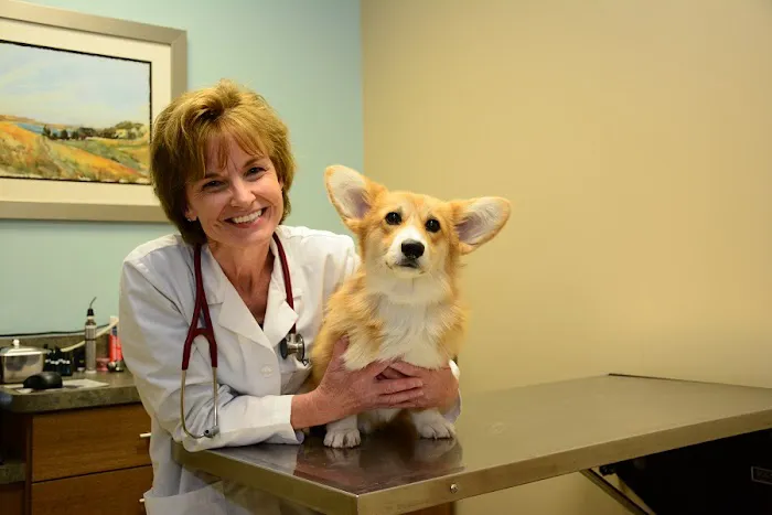 North Center Animal Hospital, A Thrive Pet Healthcare Partner 12