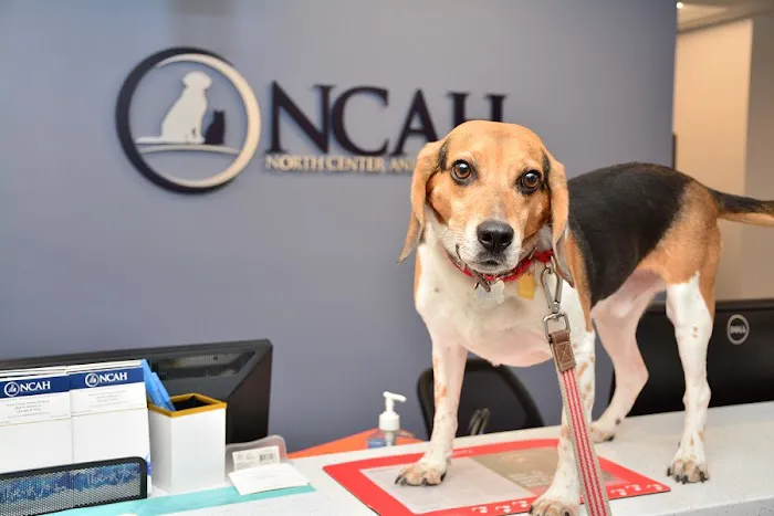 North Center Animal Hospital, A Thrive Pet Healthcare Partner 12