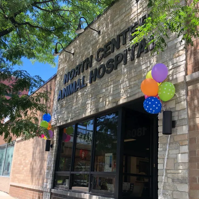 North Center Animal Hospital, A Thrive Pet Healthcare Partner 12