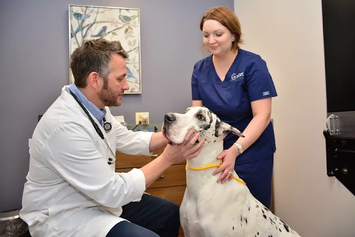 North Center Animal Hospital, A Thrive Pet Healthcare Partner 12