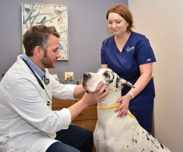 North Center Animal Hospital, A Thrive Pet Healthcare Partner