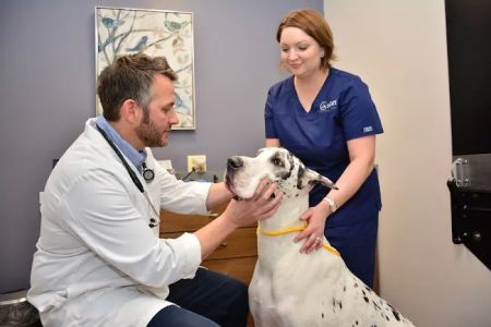 North Center Animal Hospital, A Thrive Pet Healthcare Partner