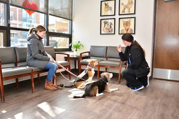 North Center Animal Hospital, A Thrive Pet Healthcare Partner 12