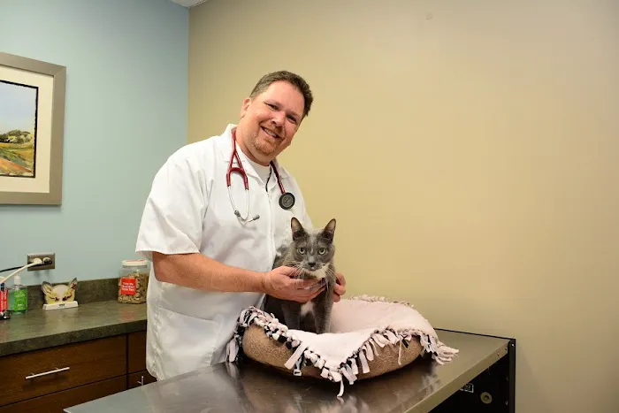 North Center Animal Hospital, A Thrive Pet Healthcare Partner 12