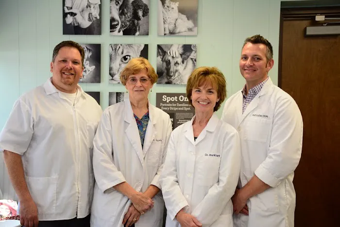 North Center Animal Hospital, A Thrive Pet Healthcare Partner 12