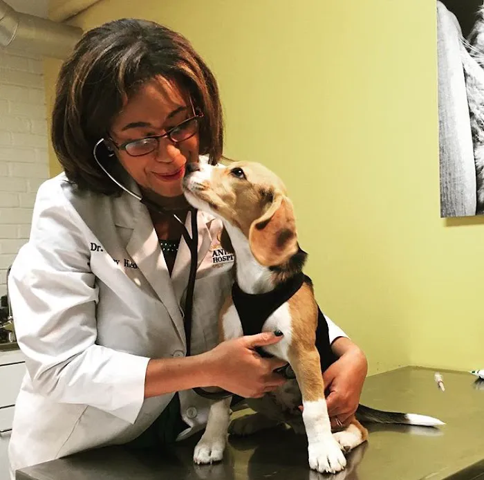 Oz Animal Hospital Lincoln Park 8
