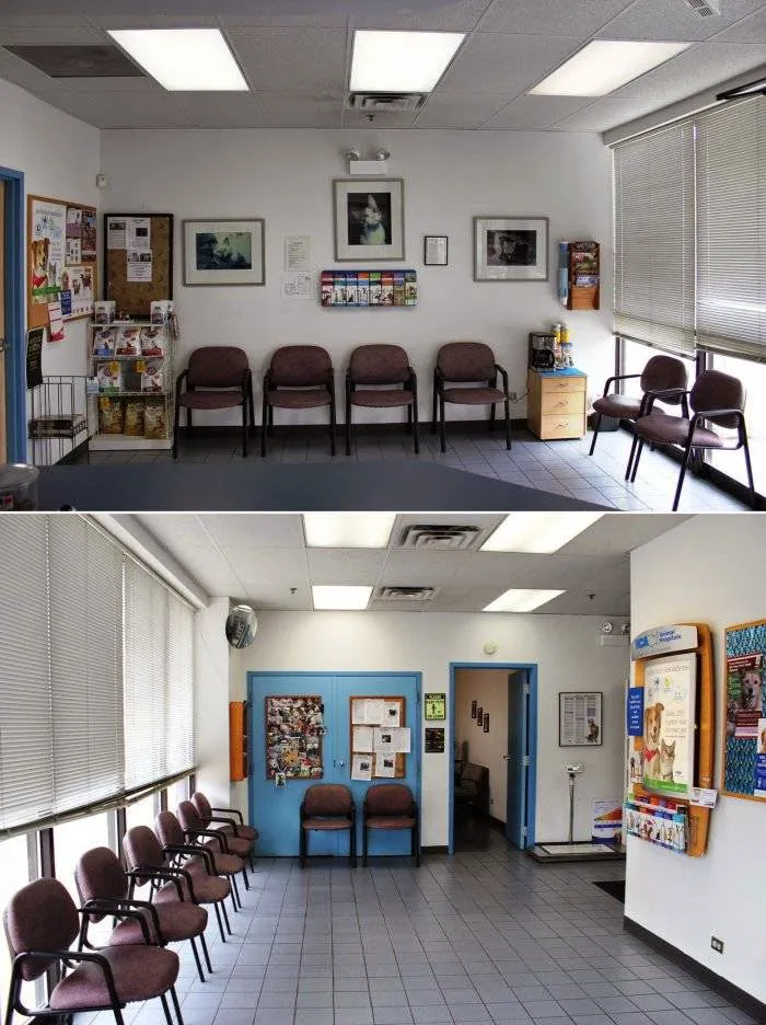 VCA Lake Shore Animal Hospital 4