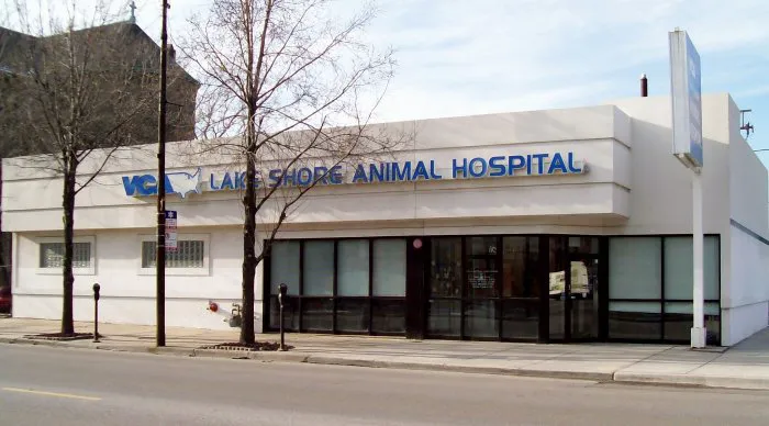 VCA Lake Shore Animal Hospital 2
