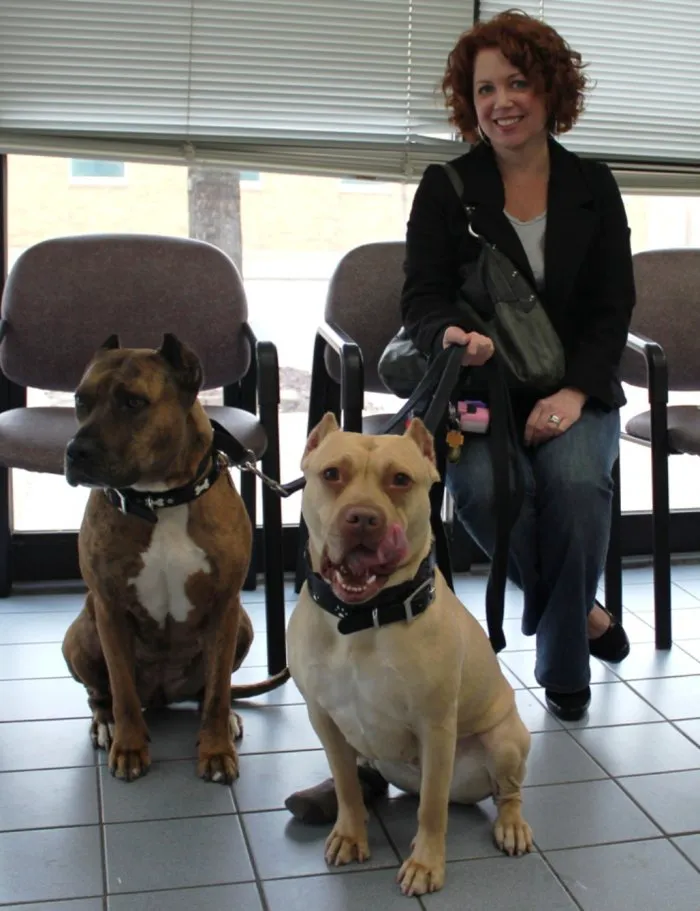 VCA Lake Shore Animal Hospital 5