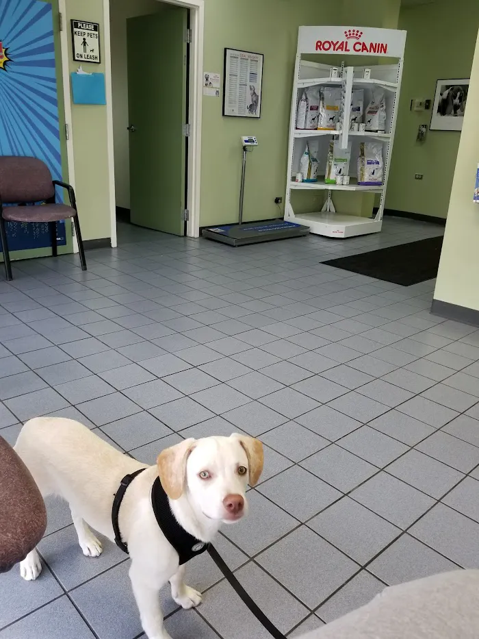 VCA Lake Shore Animal Hospital 8