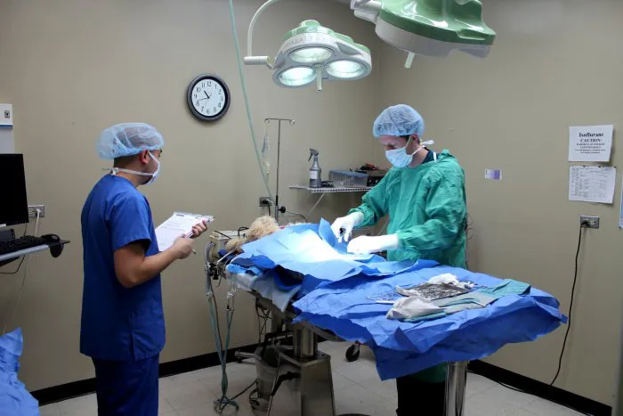VCA Lake Shore Animal Hospital 7