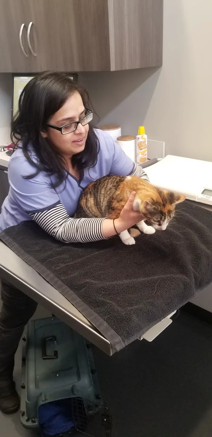 Wagnolia Veterinary Clinic 12