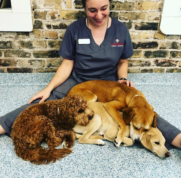 Companion Animal Hospital River North 12