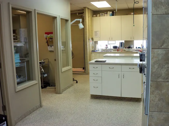 My Vet Animal Hospital 12