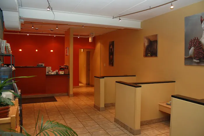 My Vet Animal Hospital 12