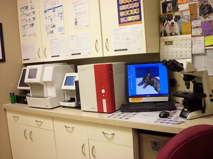 My Vet Animal Hospital 12