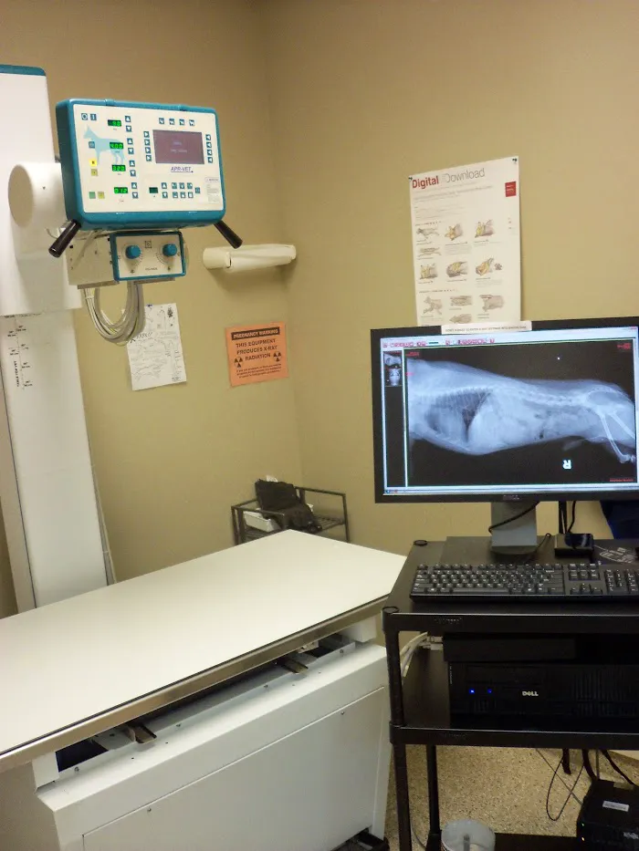 My Vet Animal Hospital 12