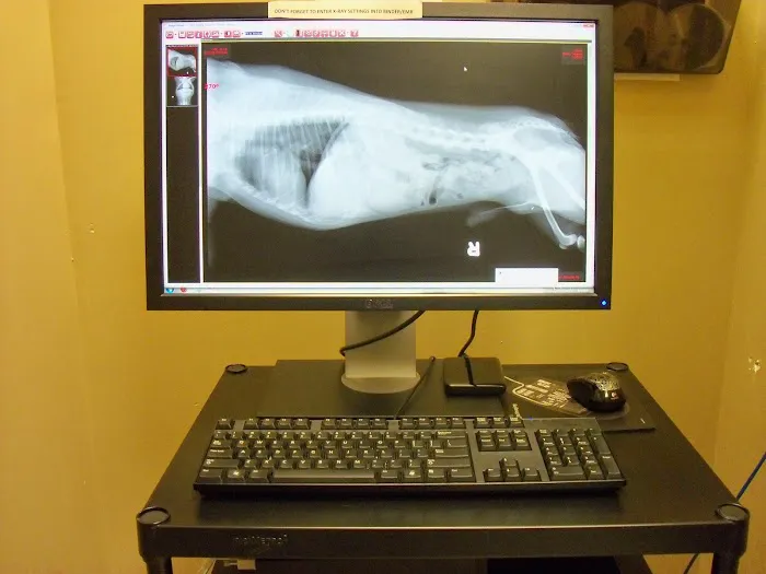 My Vet Animal Hospital 12