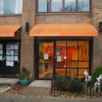 My Vet Animal Hospital ico
