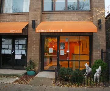 My Vet Animal Hospital